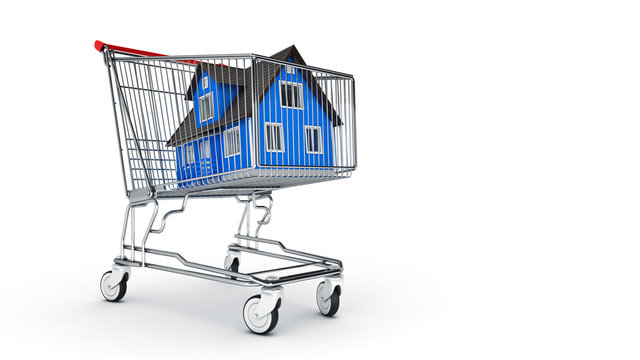 house in shopping cart concept. 3D rendering