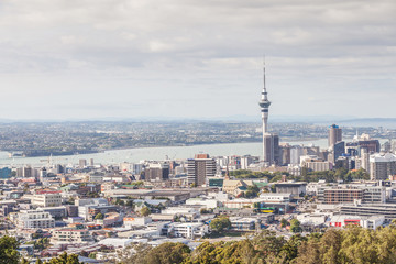 Fototapeta premium Cityscape of Auckland sky tower.