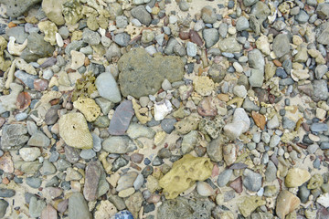 rock on beach for background