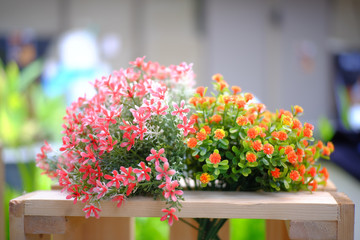 flower in garden
