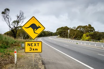 Crédence de cuisine en verre imprimé Kangourou Panneau routier kangourou en Australie du Sud