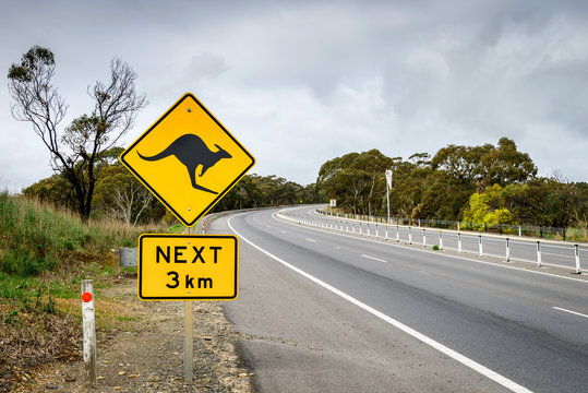 Kangaroo road sign in South Australia