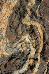 Brown stone with yellow patterns. A stone with an unusual pattern