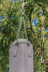 sac de frappe, punching-ball suspendu à un arbre