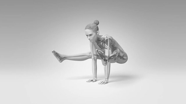 Yoga Firefly Pose Of Stretching Female With Visible Skeleton