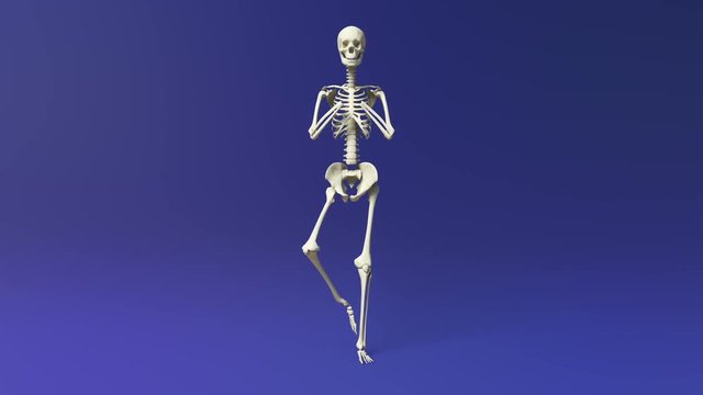 Tree Pose Of Human Skeletal