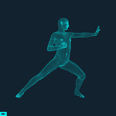 Fighter. Fitness sports. Martial arts. 3D Model of Man. Sports S