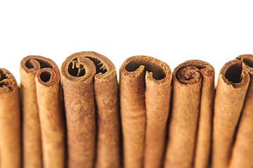 Cinnamon sticks closeup on white background. Isolated. Decorative border of cinnamon sticks spice.