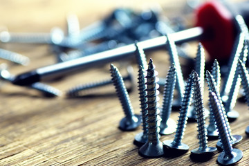 screws and screwdriver Roulette