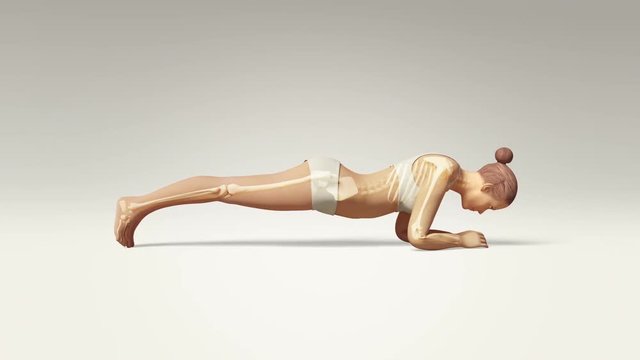 Yoga Dolphin Plank Pose Of Stretching Female With Visible Skeleton