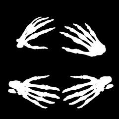 Human hand bones anatomy isolated vector illustration. Black and white   for medical or Halloween design.   bo