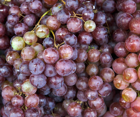 ingredient red grape bunch in the market.