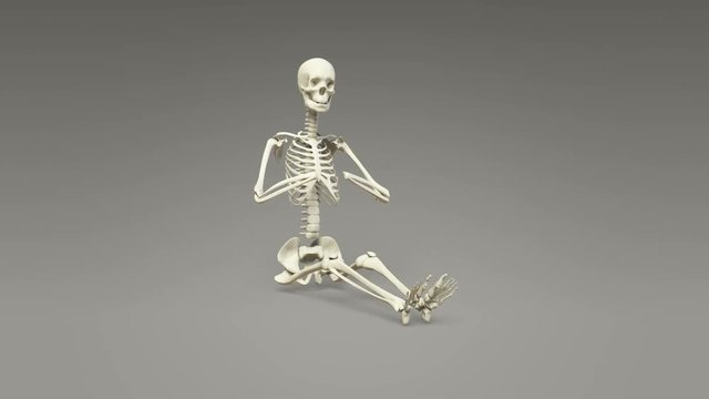 Yoga Meditation Pose Of Human Skeletal