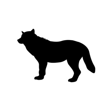 wolf vector illustration  black silhouette side profile