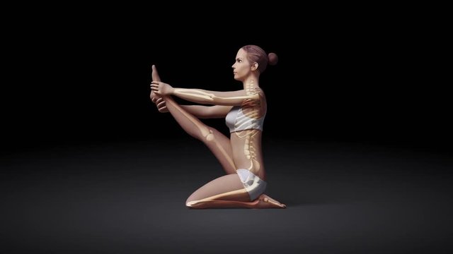 Yoga Heron Pose Of Stretching Female With Visible Skeleton