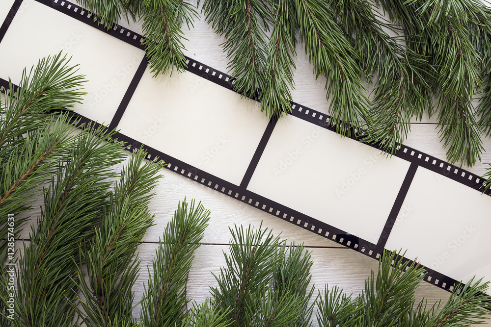 Wall mural background with a frame in the form of a film and pine branches