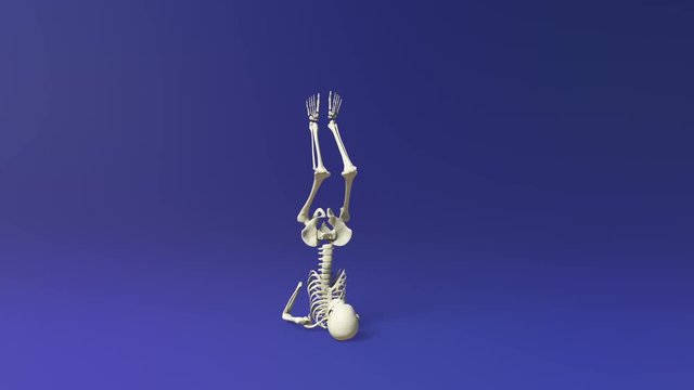 Pushing Legs Exercise Of Human Skeletal