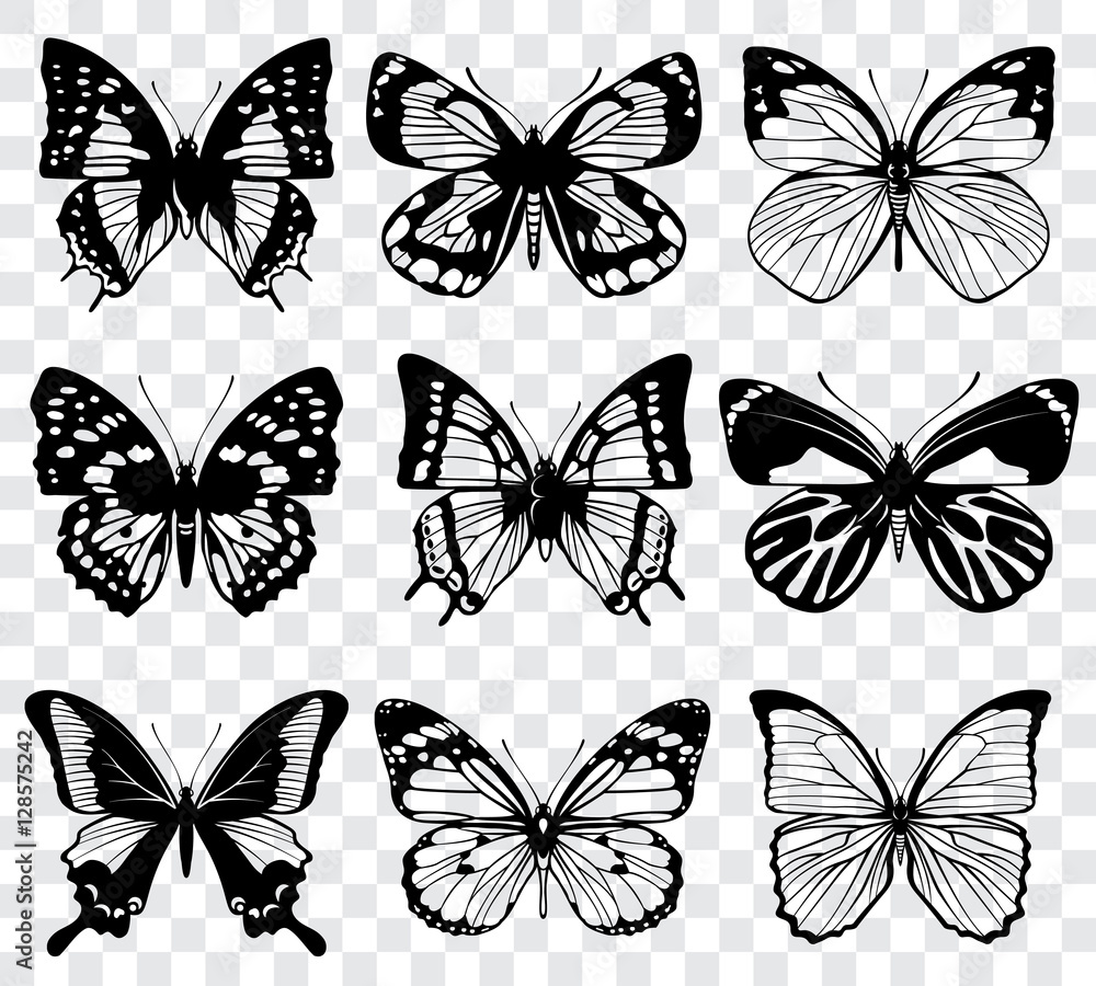 Poster vector butterflies isolated on transparent checkered background