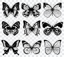 Fototapeta na wymiar Vector butterflies isolated on transparent checkered background