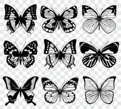 Vector butterflies isolated on transparent checkered background