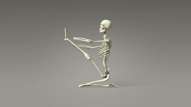 Yoga Heron Pose Of Human Skeletal