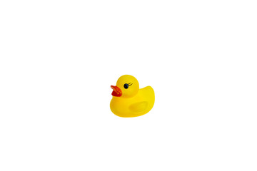 Cute yellow rubber duck isolated over white background. The family of yellow rubber ducks.