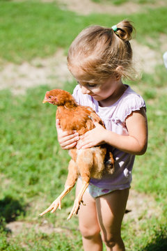 People Series: Little Girl With Red Hen