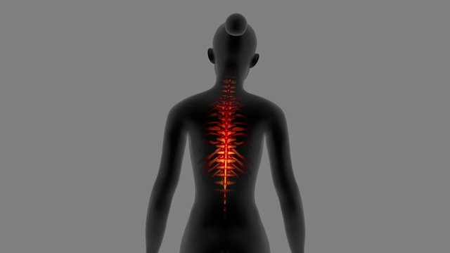 Female Having Back Pain With Visible Skeleton