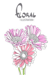 Beautiful gerbera closeup