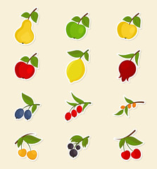 Set of fruits and berries