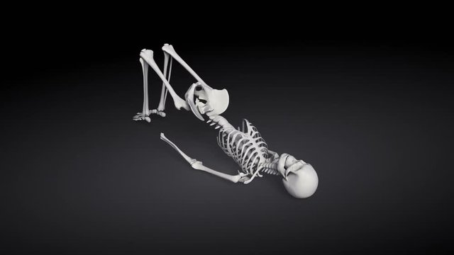 Bridge Pose Of Human Skeletal