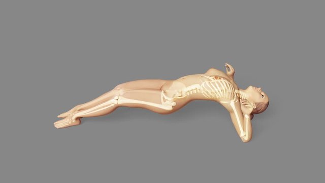 Yoga Monkey Pose Of Stretching Female + Alpha