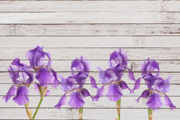  Iris flowers art on vintage wooden panels background, Retro style design, countryside home decoration