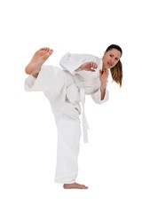 Fighter performing karate stance