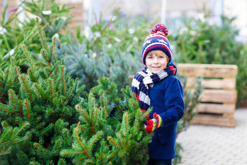 beautiful smiling little boy holding christmas tree