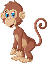 Cartoon cute monkey posing

