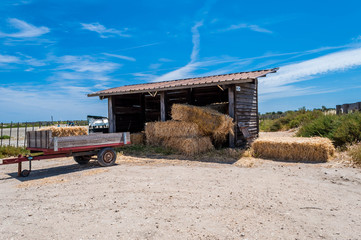 Fourrage sous hangar.