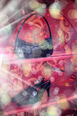 an image of hand bag and shoes in display window
