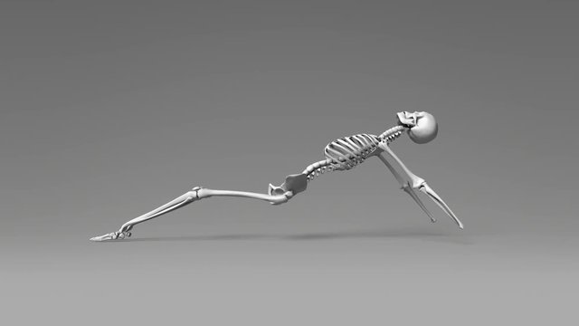 Upward Plank Pose Of Human Skeletal