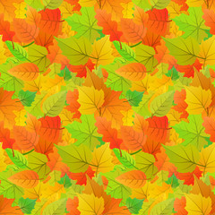 Cute autumn leaves from different kind of trees, seamless pattern