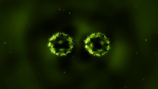 Dividing Virus 3D Animation