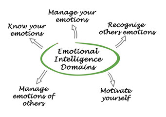 Emotional Intelligence Domains