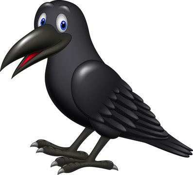 Cartoon raven isolated on white background

