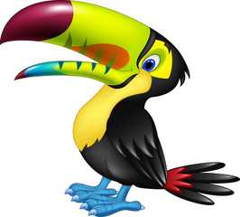  Funny toucan 