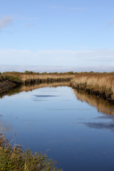 Île d'Oléron