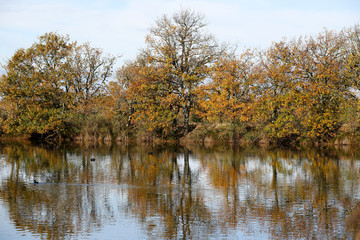 Île d'Oléron