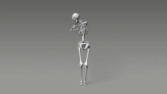 Stretching And Exercising Human Skeletal System