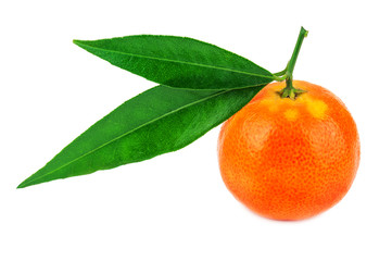juicy and ripe mandarin
