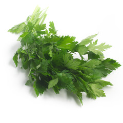 Fresh Parsley Leaves. Fresh Herbs