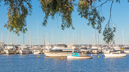 Swan River Yacht Moorings